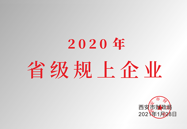 2020年省級規上企業